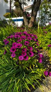 Hotels Hotel Le Goeland : photos des chambres