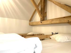 Maisons de vacances Ailanthus : photos des chambres
