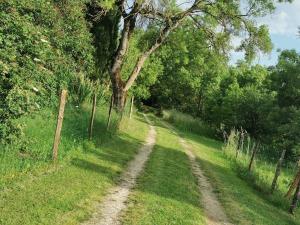 Le puech des Amandiers