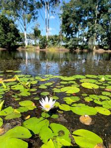 Hotel-fazenda em Potim, Brasil