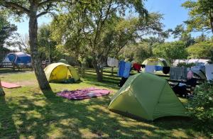 First Camp Grenen Strand
