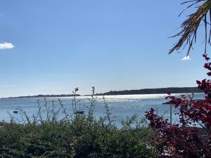 Sea Breeze