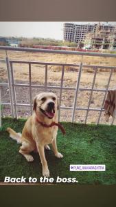 Pathaks 2BHK House, Pune