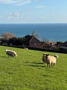 Skipper's Lookout - Stoke Fleming