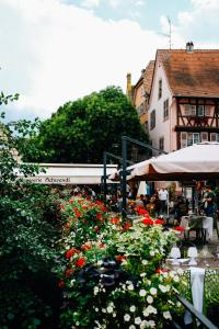 Appartements Gite Traditionnel au Centre Historique d'Eguisheim : photos des chambres
