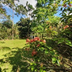 Pousada Sitio Ceu de Estrelas, Paraiso Cinematográfico!!