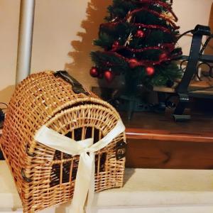 Modern Apartment in Gioia del Colle, Fenced Garden, 50 m²