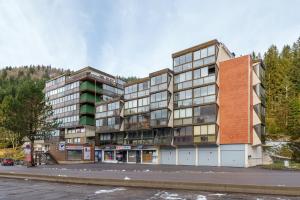 Belle Hutte - La Bresse montagne et parking privé