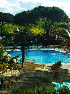 Happy Camp mobile homes in Camping Riccione