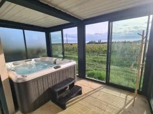 Gîte au coeur des vignes, jacuzzi et sauna privés - Fargues-de-Langon