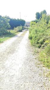 Maisons d'hotes 3 rue Maurice Utrillo : photos des chambres