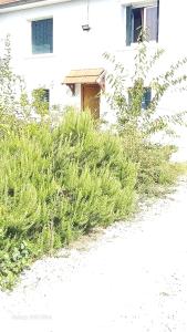 Maisons d'hotes 3 rue Maurice Utrillo : photos des chambres