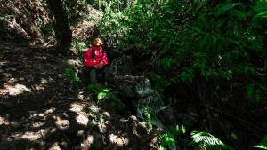 Posada Las Montañas del Edén