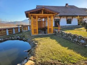 Studio Amalia - Sadu