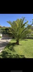 Maisons de vacances Villa climatise avec piscine et jacuzzi : photos des chambres