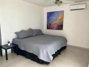 Cielo Azul San Diego #9