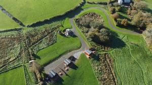 Lets Glamp Retro - Queen