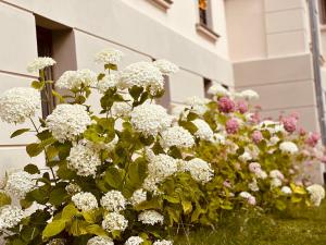 Villa Schuwardt auf Nordend