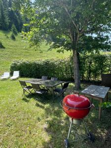Appartements Gites Sous Les Loges : photos des chambres