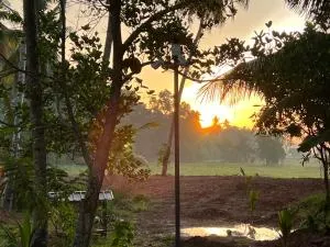 Peacock Villa - Erabedda