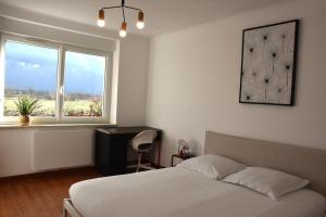 Appartements Le Nid des Cigognes avec terrace : photos des chambres