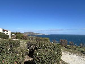 Appart 2 pièces 4 couchages BANYULS SUR MER BN120-4114