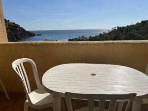 Appartements Appart 2 pieces - cabine 4 couchages CERBERE BN200-951 : Appartement 1 Chambre avec Vue sur la Mer et Terrasse