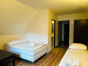 Nad Grajcarkiem domki i pokoje