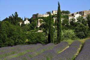 Dunloe Chambre & Terrasse chez lhabitant avec borne recharge électrique