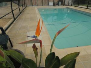 Chalets chalet ESPAGNE pour 2 personnes : photos des chambres