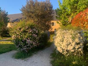 Maisons de vacances La Riviere Esperance : photos des chambres
