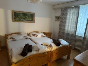 Haus Bündabrücke - Apartmány, Davos