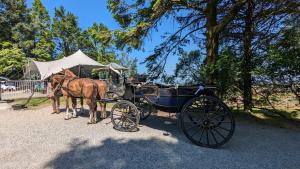 Wheal Tor Hotel & Glamping