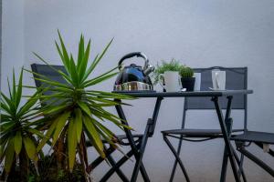 Appartements Appartement renove idealement situe dans le centre pieton des Sables d-Olonne : Appartement 2 Chambres