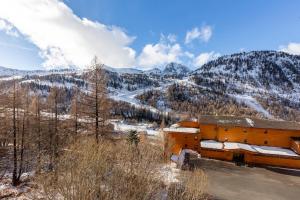 Appartements Superbe T2 a Isola 2000, casier a ski, wifi : photos des chambres