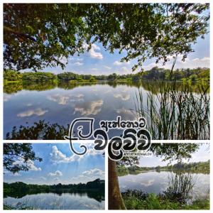 Eththota Walawwa Bungalow - Private Rooms with Attached Bathrooms - AC or Non AC