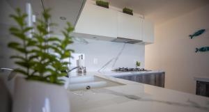 Ocean & Lagoon View Penthouse