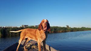 House Akerdijk 5 persons 3 bedrooms