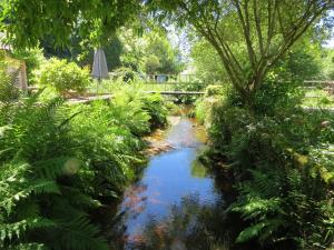 B&B / Chambres d'hotes Le Moulin de Pensol - Bed and Breakfast : photos des chambres