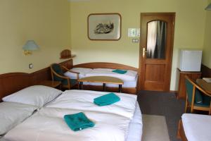 Zotavovna VS Přední Labská