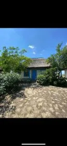 Golden Fish - Mahmudia