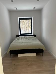 Apartamenty pod sosną