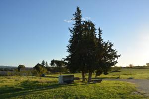 Villas Domaine du Piol - Luberon - Piscine privee - Clim - Beach Volley : photos des chambres