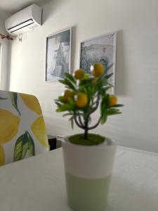 Apartments Herceg Novi