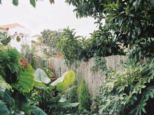 Apartment with Private Garden