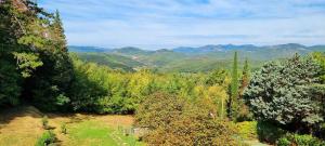 Grand Manoir avec piscine
