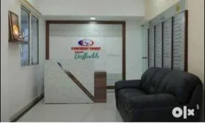 daffodils at thiruvananthapuram kerala - Trippapur