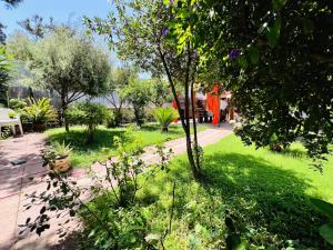 bbmaredellestelle img70