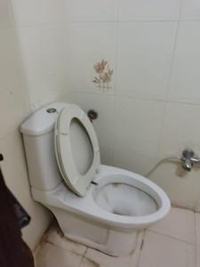 tulsiyani apartment