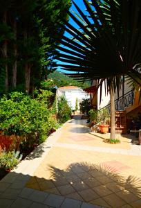 Panorama Apartments and Studios Thassos Greece